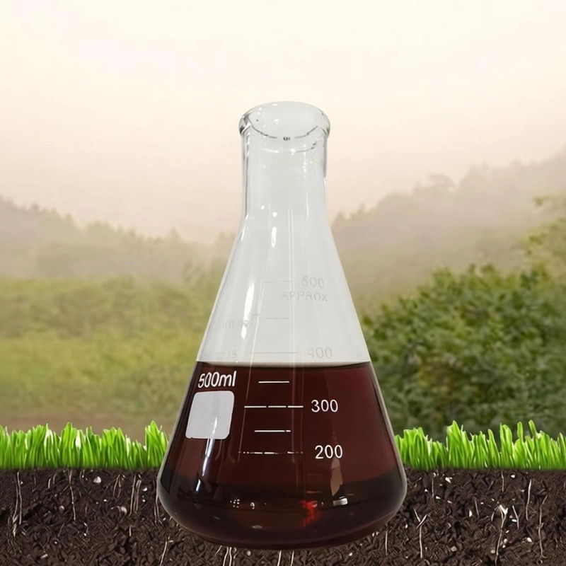 Humic Acid Fertilizer for Sandy Soil