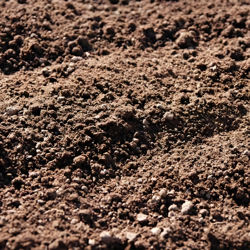 Humic Acid Fertilizer for Sandy Soil