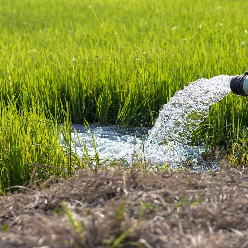 Humic Acid Fertilizer for Sandy Soil