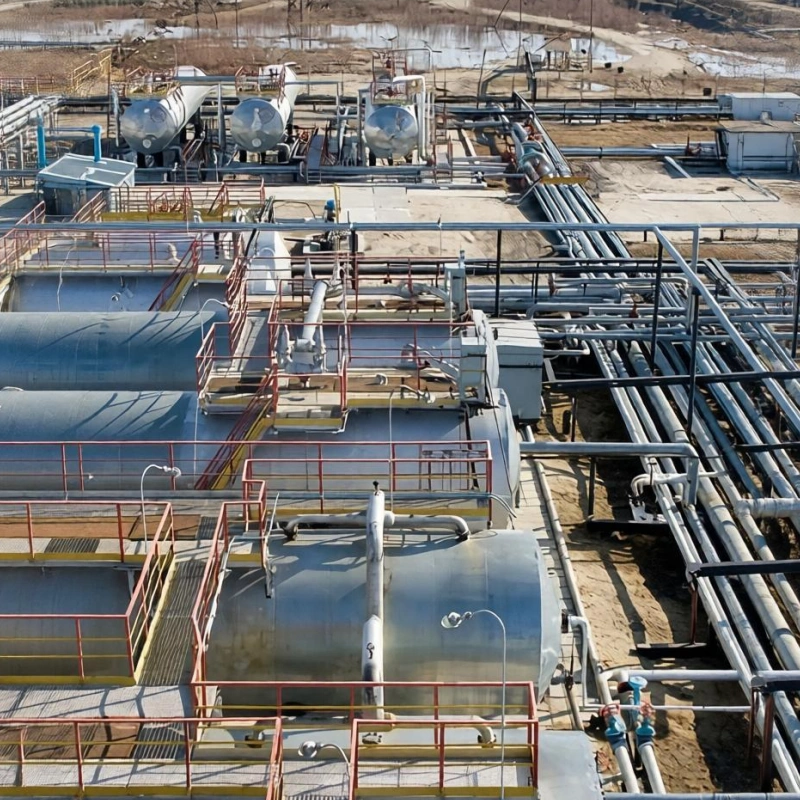 Sewage Sludge to Fertilizer Processing
