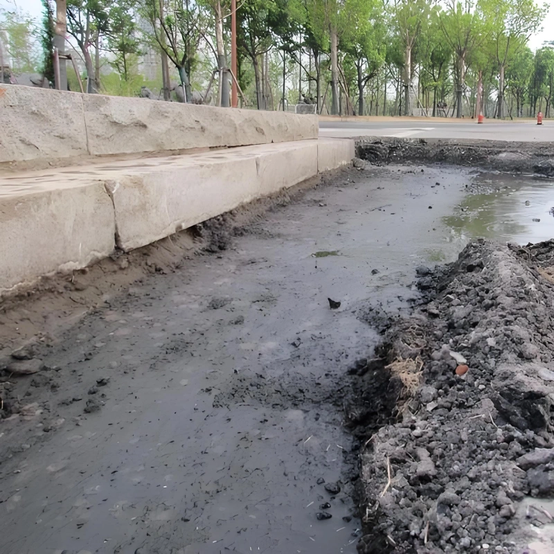 Sewage Sludge to Fertilizer Processing