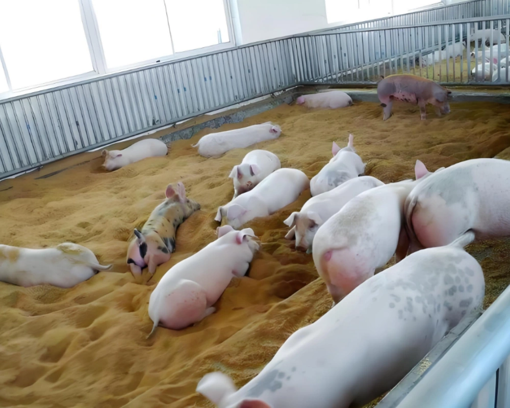 fermentation, Fertilizer Fermentation Temperature Management